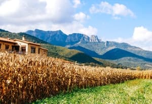Cornellà del Terri