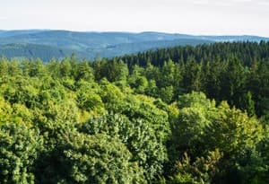 Landkreis Waldeck-Frankenberg